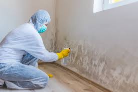 Best Asbestos and Lead Testing During Mold Inspection  in Shoshone, ID